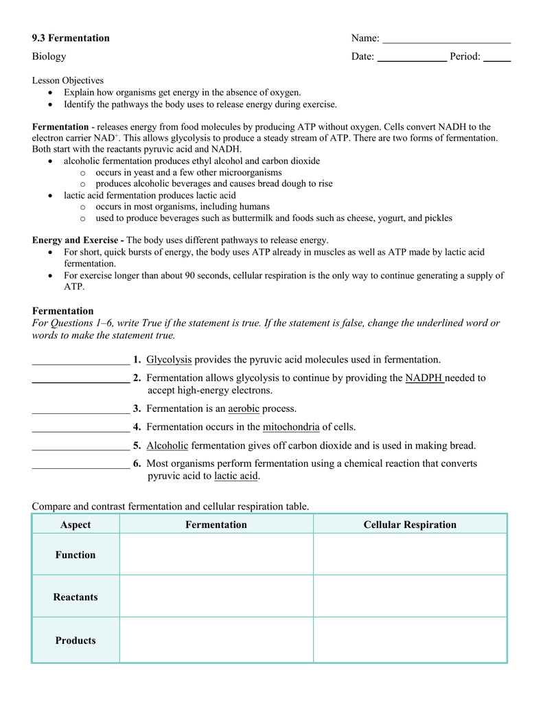 Fermentation Worksheet Answer Key