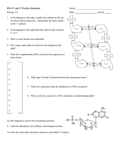 DNA 5’ and 3’ Practice Questions  Name: Biology 5.0