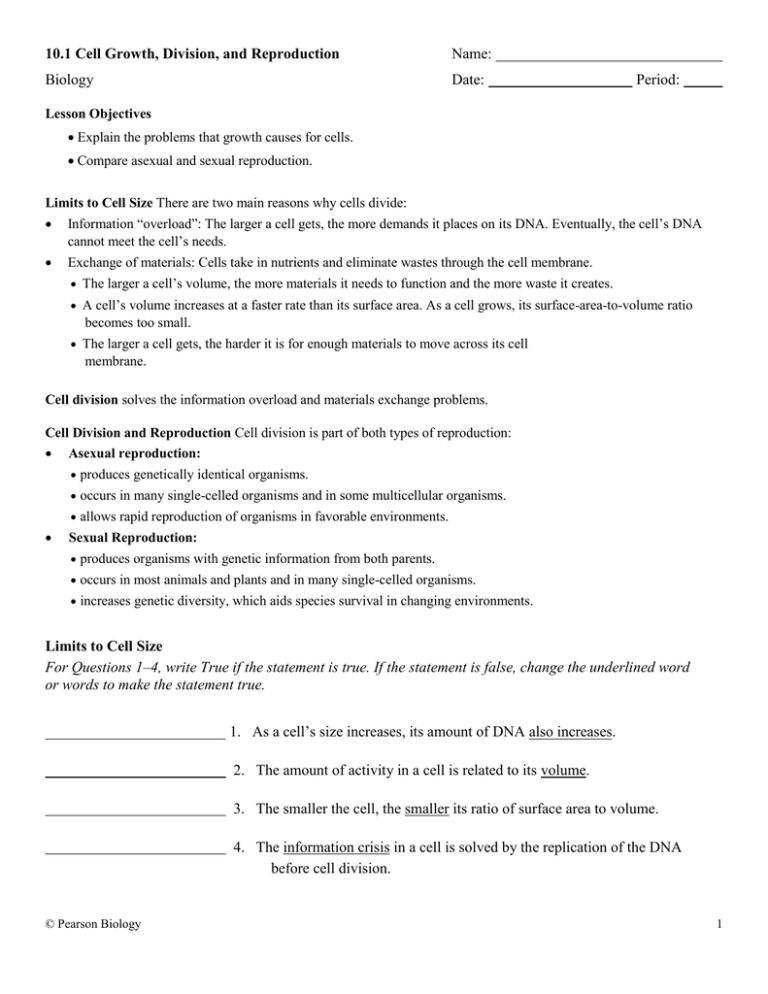 10 1 Cell Growth Division And Reproduction Worksheet Answer Key Gregory Stallworth s Division 