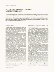 GEOMETRIC RISK FACTORS FOR ARTERIOSCLEROSIS