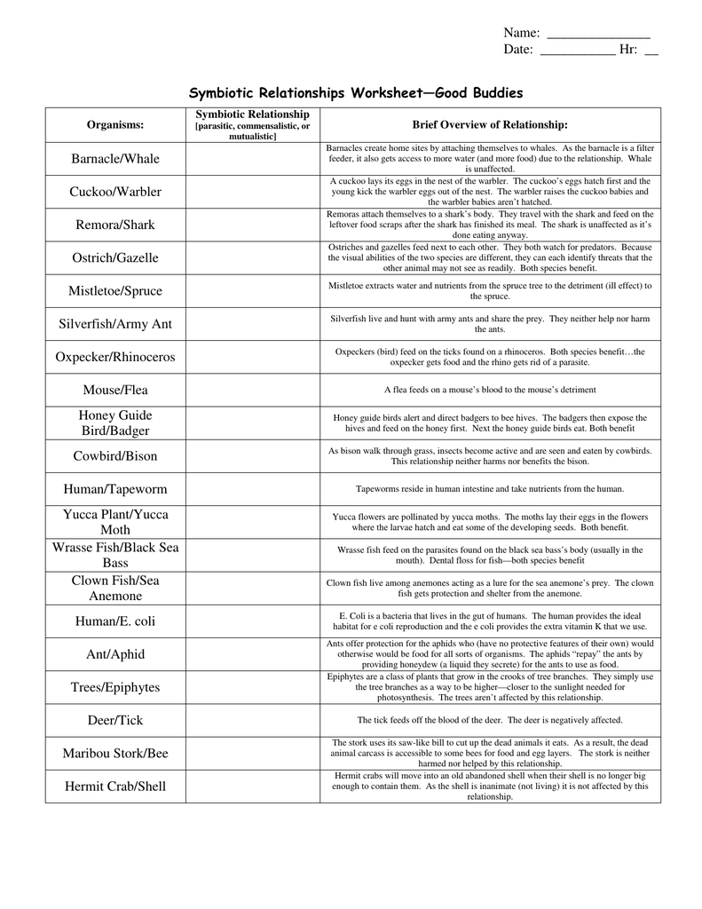 Symbiotic Relationships Worksheet Good Buddies