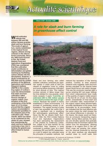 W A role for slash and burn farming in greenhouse effect control