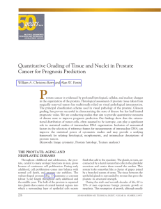 P Quantitative Grading of Tissue and Nuclei in Prostate