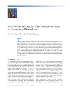 T Stress Fracture Risk Analysis of the Human Femur Based