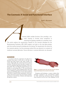 The Cosmesis: A Social and Functional Interface