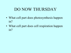 DO NOW THURSDAY • What cell part does photosynthesis happen in?