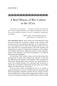 A Brief History of Rice Culture to the 1870s