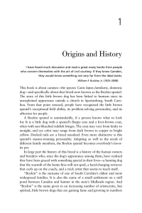 1 Origins and History