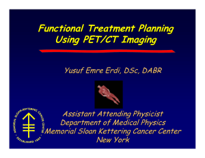 Functional Treatment Planning Using PET/CT Imaging