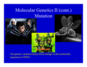 Molecular Genetics II (cont.) ( ) Mutation
