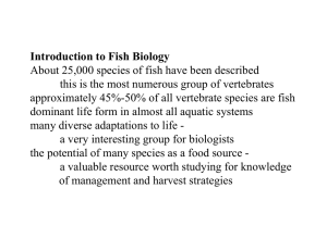 Introduction to Fish Biology