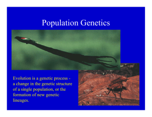 Pop lation Genetics Population Genetics