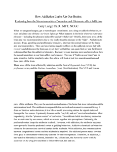 How Addiction Lights Up Our Brains:  Gary Lange Ph.D., MFT, NCGC