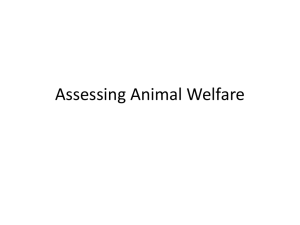 Assessing Animal Welfare