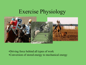 Exercise Physiology •Driving force behind all types of work