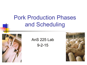 Pork Production Phases and Scheduling AnS 225 Lab 9-2-15