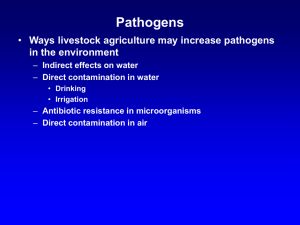 Pathogens Ways livestock agriculture may increase pathogens in the environment