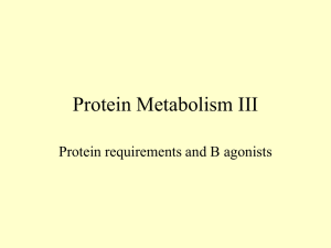 Protein Metabolism III Protein requirements and B agonists