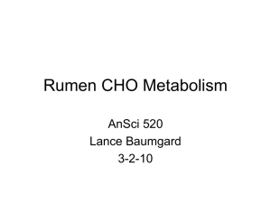 Rumen CHO Metabolism AnSci 520 Lance Baumgard 3-2-10