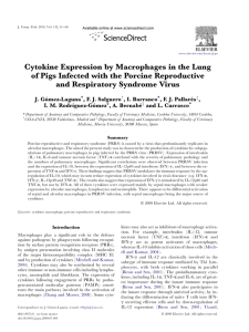 Cytokine Expression by Macrophages in the Lung and Respiratory Syndrome Virus
