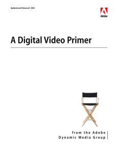 A Digital Video Primer Updated and Enhanced:  2002