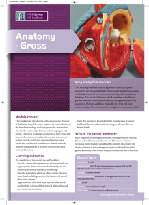 Anatomy - Gross Why study this module ?