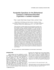 Nucleotide Specificity for the Bidirectional Transport of  Membrane-Bounded