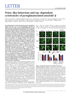 LETTER Prion-like behaviour and tau-dependent cytotoxicity of pyroglutamylated amyloid-b
