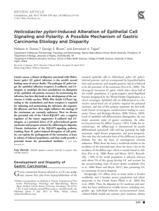 Helicobacter pylori-Induced Alteration of Epithelial Cell
