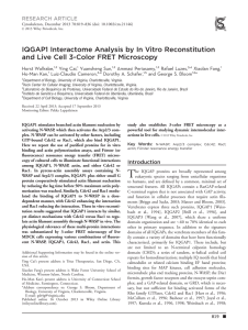 IQGAP1 Interactome Analysis by In Vitro Reconstitution