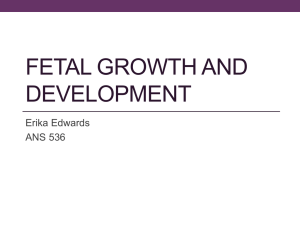 FETAL GROWTH AND DEVELOPMENT Erika Edwards ANS 536