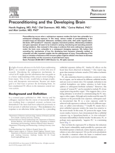 Preconditioning and the Developing Brain Carina Mallard, PhD,
