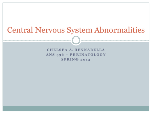 Central Nervous System Abnormalities