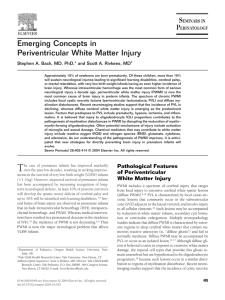 Emerging Concepts in Periventricular White Matter Injury
