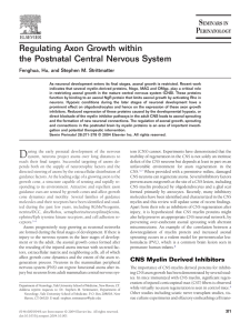 Regulating Axon Growth within the Postnatal Central Nervous System
