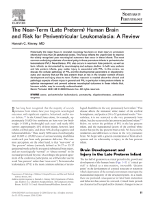 The Near-Term (Late Preterm) Human Brain Hannah C. Kinney, MD