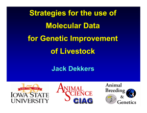 Strategies for the use of Molecular Data for Genetic Improvement of Livestock