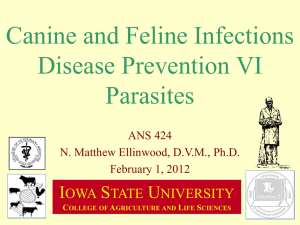 Canine and Feline Infections Disease Prevention VI Parasites I