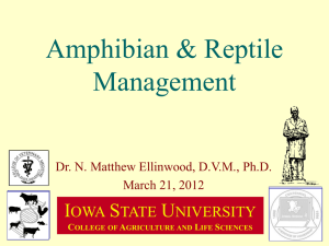 Amphibian &amp; Reptile Management I S
