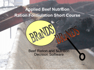 Applied Beef Nutrition Ration Formulation Short Course  Beef Ration and Nutrition