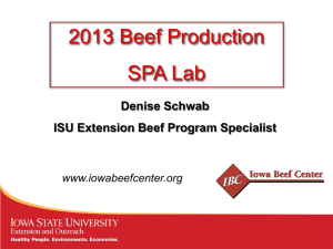 2013 Beef Production SPA Lab Denise Schwab ISU Extension Beef Program Specialist