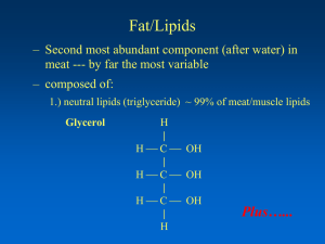 Fat/Lipids Plus…... – Second most abundant component (after water) in
