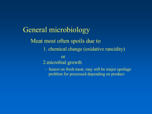General microbiology Meat most often spoils due to or