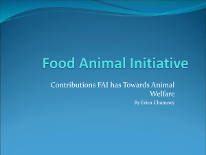 Contributions FAI has Towards Animal Welfare By Erica Chamney