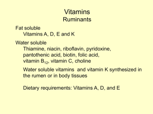 Vitamins Ruminants