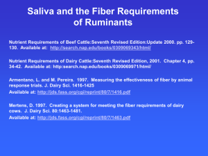 Saliva and the Fiber Requirements of Ruminants