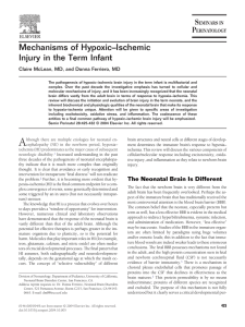 Mechanisms of Hypoxic–Ischemic Injury in the Term Infant