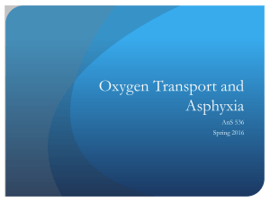 Oxygen Transport and Asphyxia AnS 536 Spring 2016