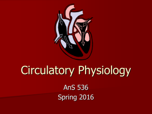 Circulatory Physiology AnS 536 Spring 2016