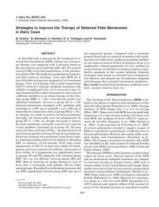 Strategies to Improve the Therapy of Retained Fetal Membranes M. Drillich,